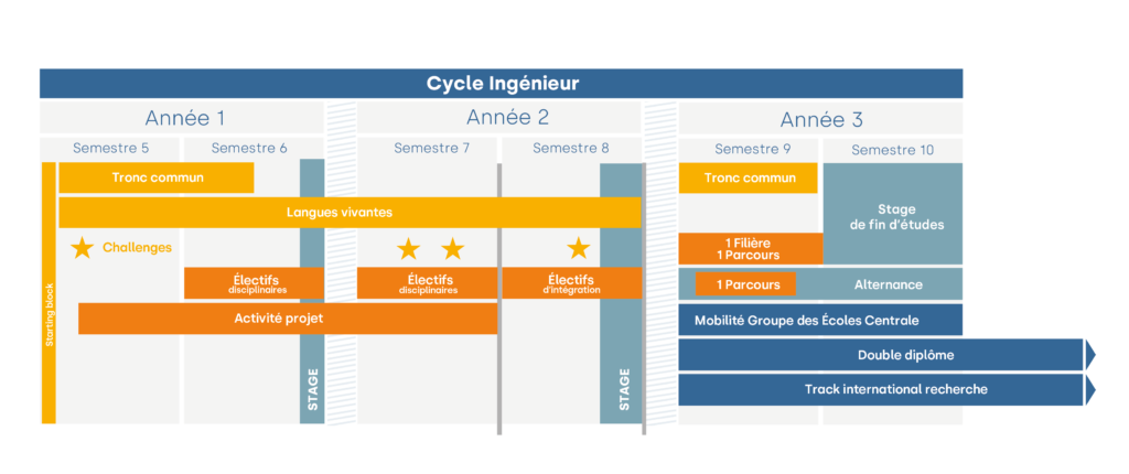 schema des etudes ecole centrale de lille